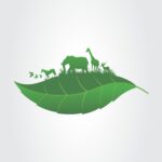 ENVIRONMENT DAY – NATURE LEAF ANIMAL – EARTH DAY – NATURES DAY – JUNGLE – SAVE ANIMALS – SAVE NATURE